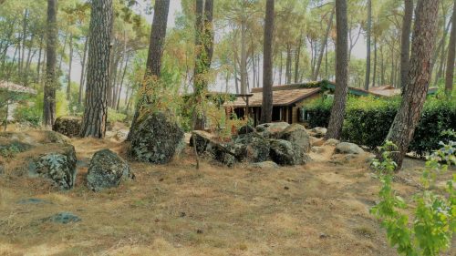 Paraíso del Tíetar (Cabañas rurales para toda la familia en Ávila)